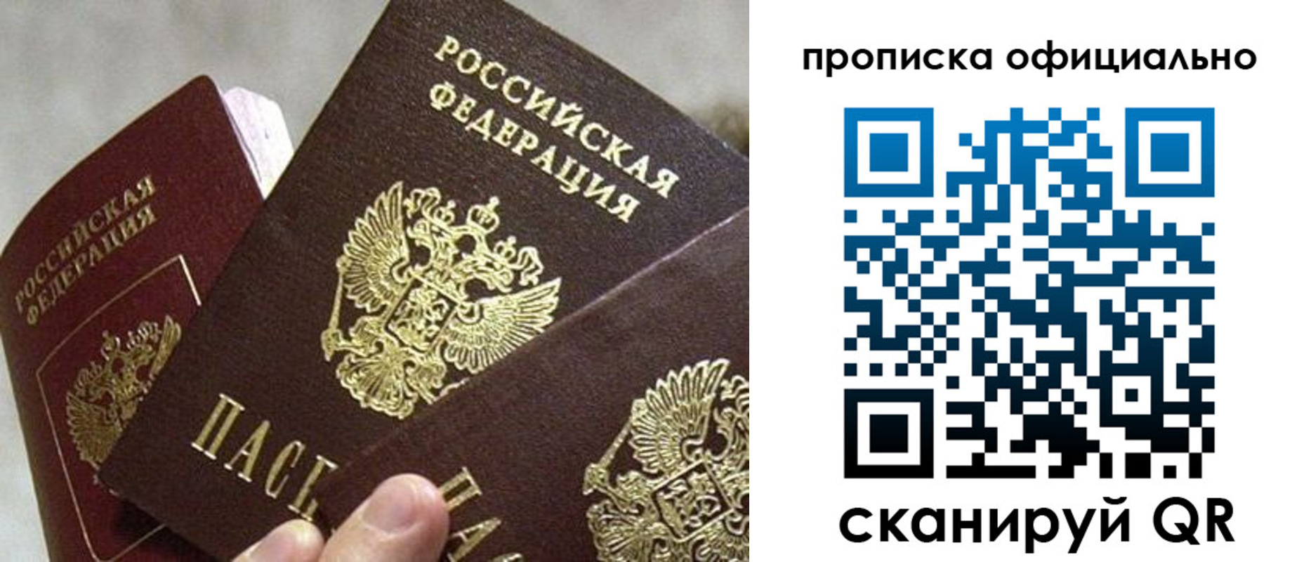 прописка гарантия в Плавске